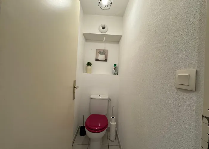 Le Cocoon Des Reservoirs - Parking & Terrace * Виши